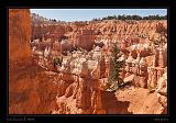 Bryce Canyon 10